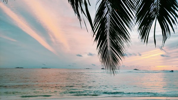 Discover Your Dream Welsh Getaway: The Ultimate Guide to Choosing Perfect Holiday Rentals for an Authentic Experience of Traditional Welsh Games