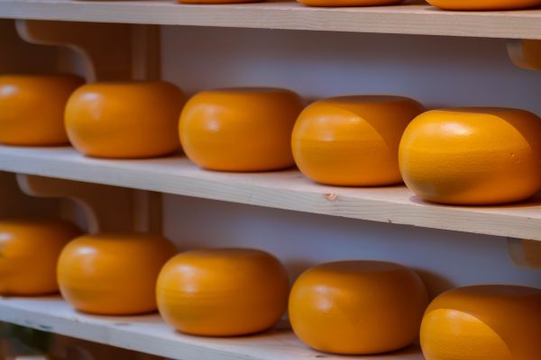 Discover Essential Amenities in Somerset Holiday Rentals with Exclusive Cheese-Making Tours